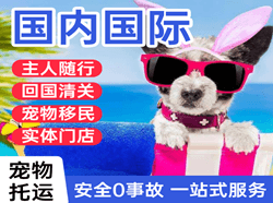 三女河航空托运国际宠物托运 【国